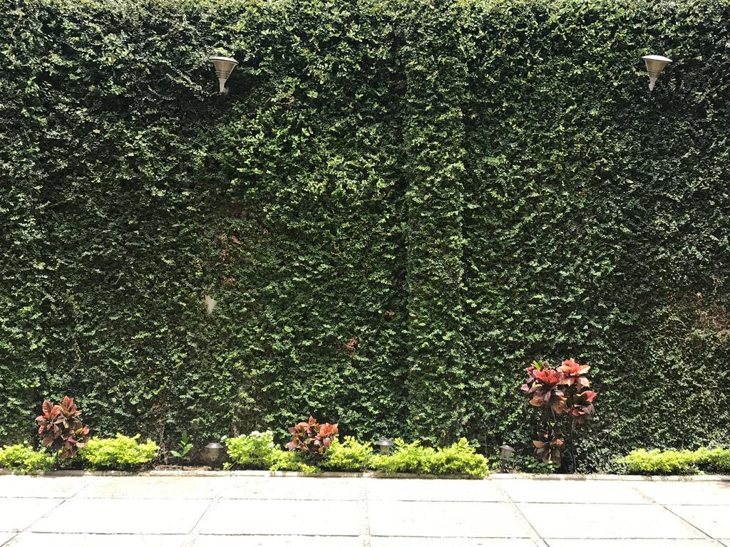Real Avenida Hotel Tuxtla Gutiérrez Zewnętrze zdjęcie